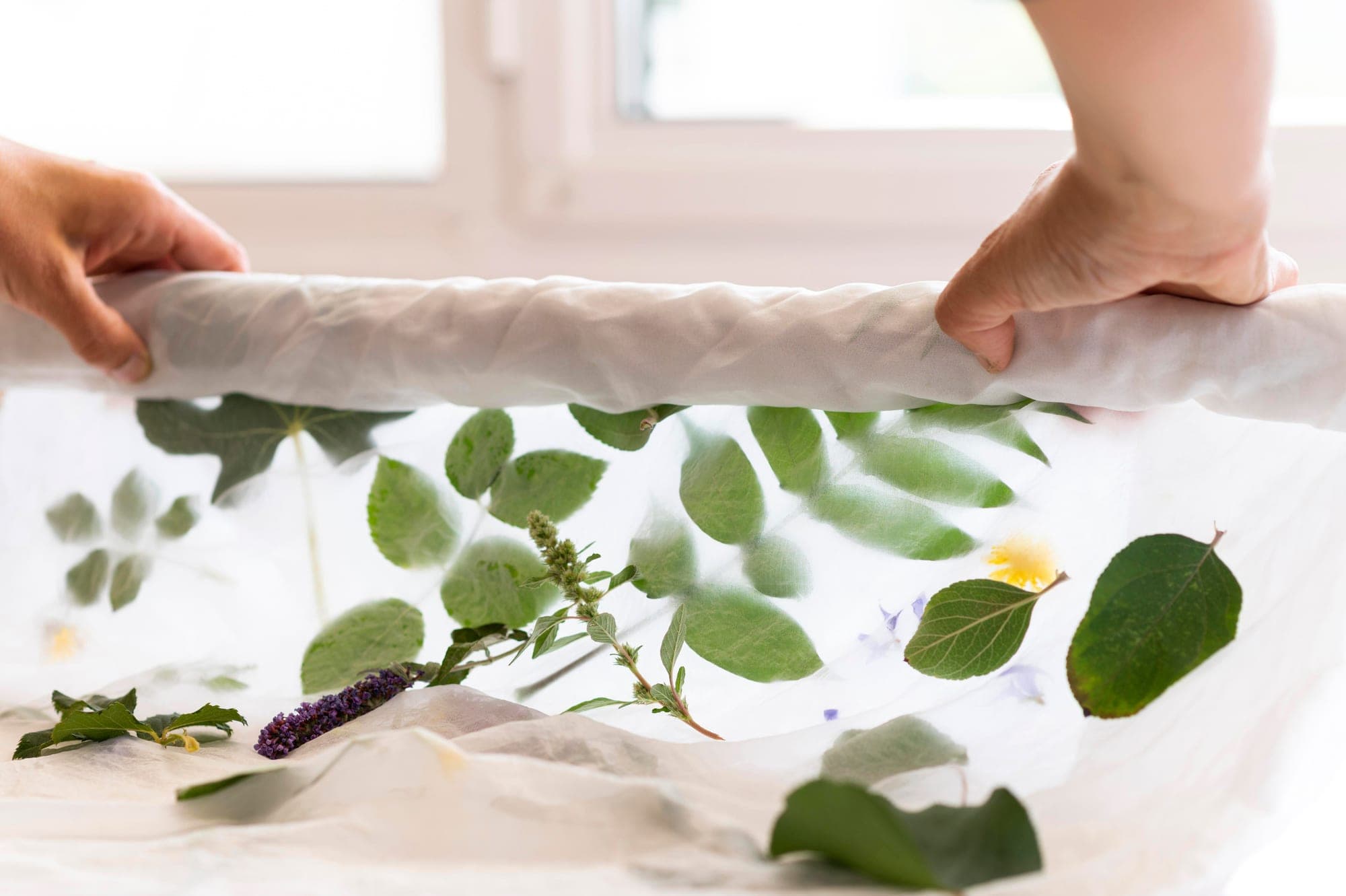 Hands pressing leaves and flowers into white cloth for natural dyeing.